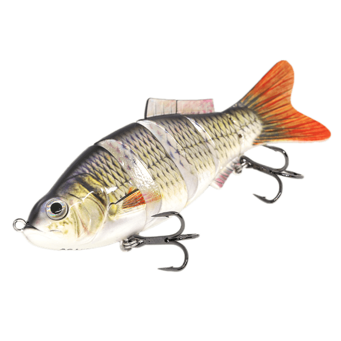 Murray Cod Freshwater Fishing Baits, Lures & Flies for sale, Shop with  Afterpay